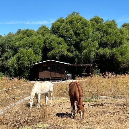 Cabana Rustica En Un Rancho Con Caballos, Prado Del Rey, Andalucia Exterior foto