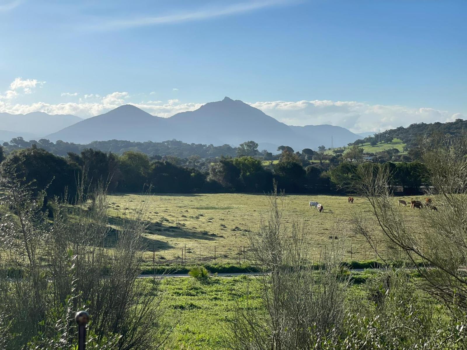 Cabana Rustica En Un Rancho Con Caballos, Prado Del Rey, Andalucia Exterior foto
