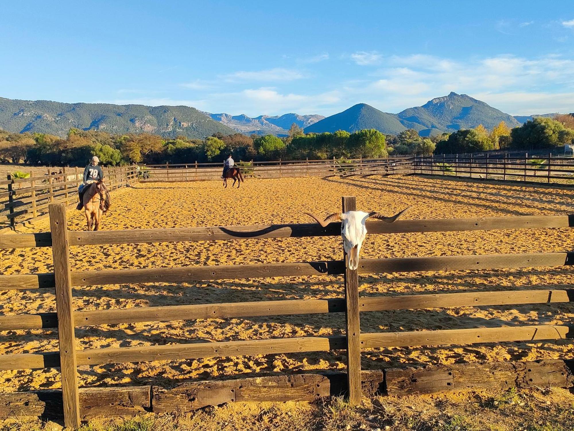 Cabana Rustica En Un Rancho Con Caballos, Prado Del Rey, Andalucia Exterior foto