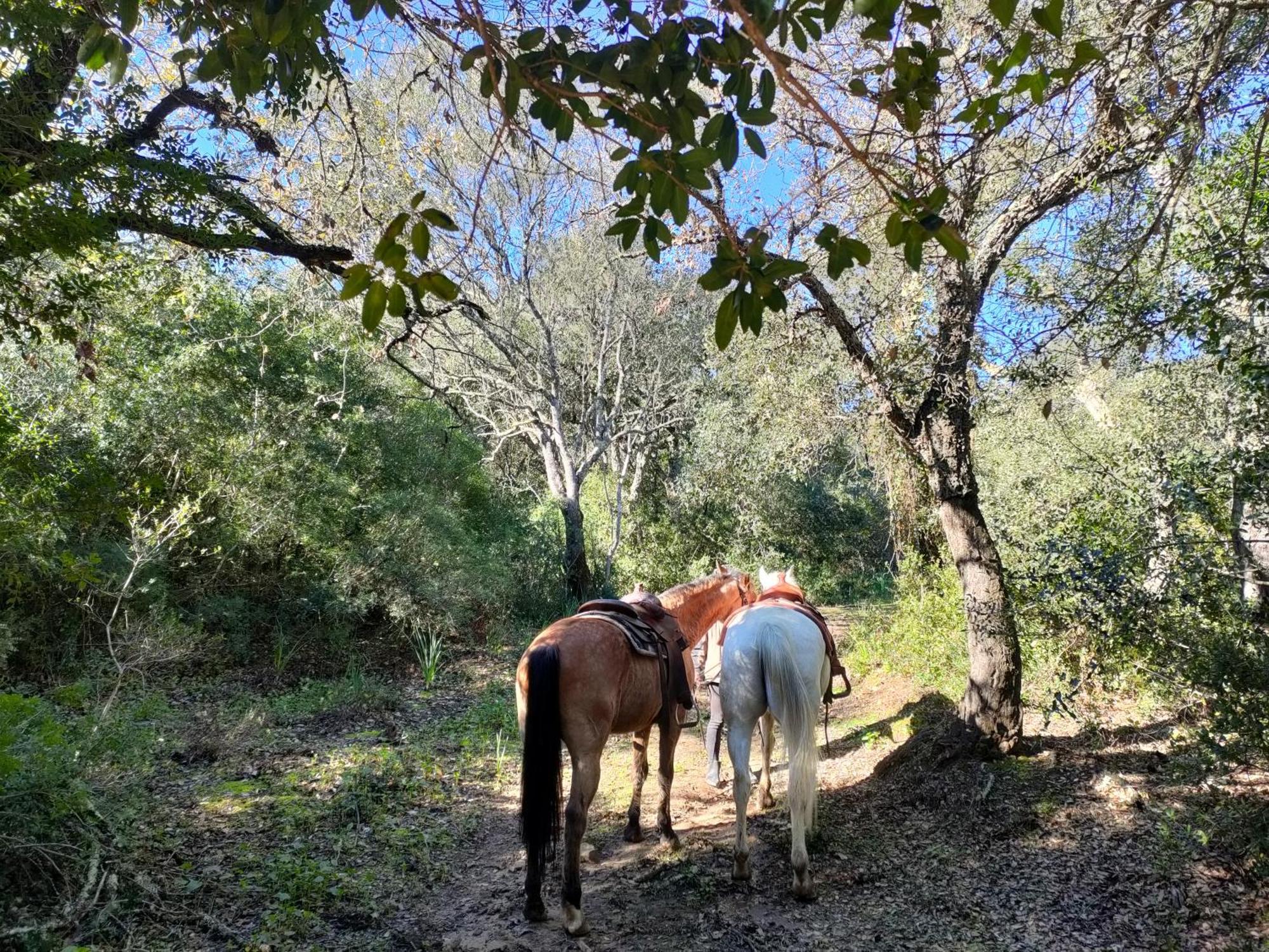 Cabana Rustica En Un Rancho Con Caballos, Prado Del Rey, Andalucia Exterior foto