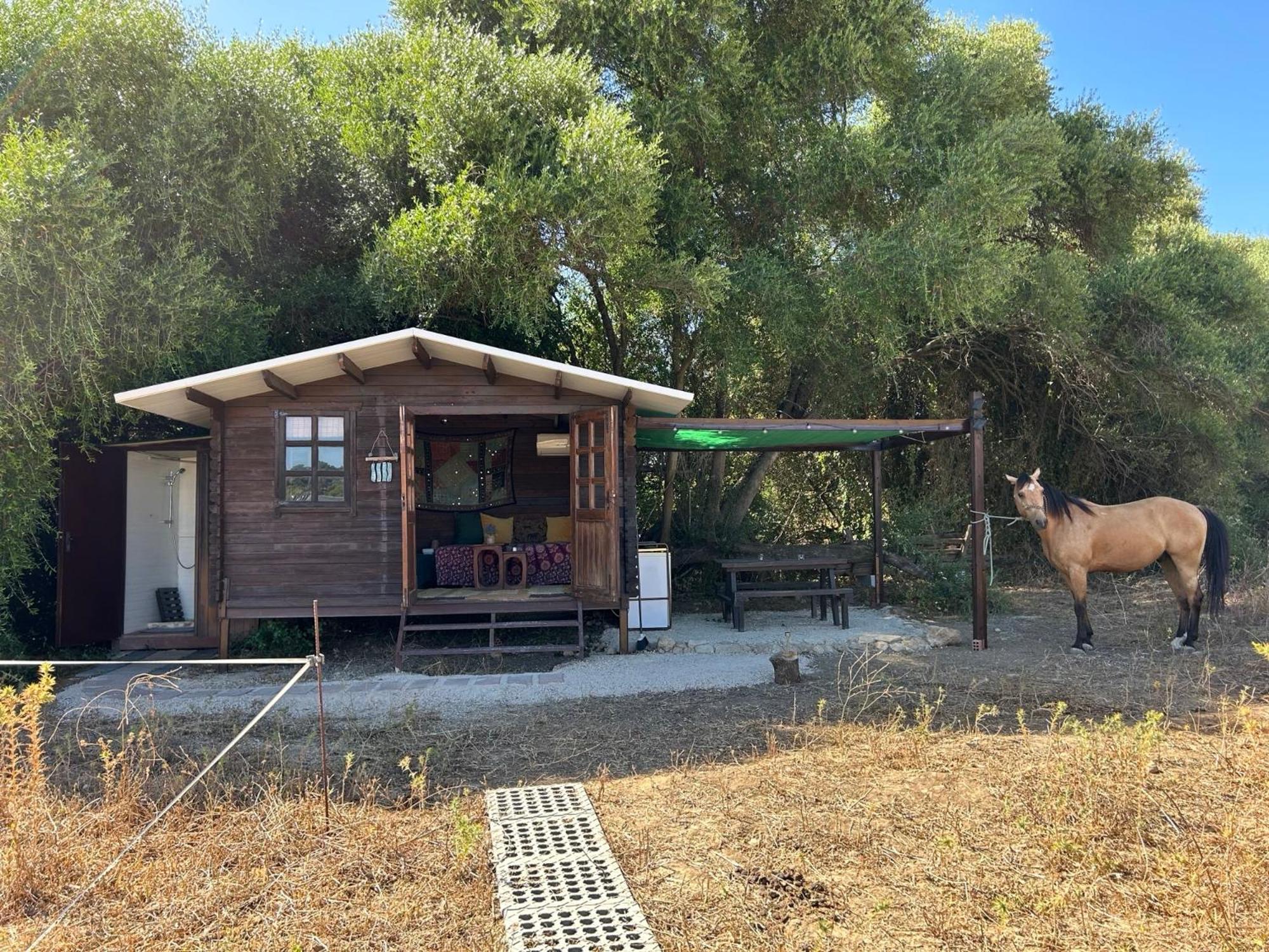 Cabana Rustica En Un Rancho Con Caballos, Prado Del Rey, Andalucia Exterior foto